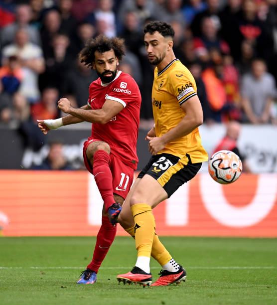 他们不仅仅 他们不仅仅