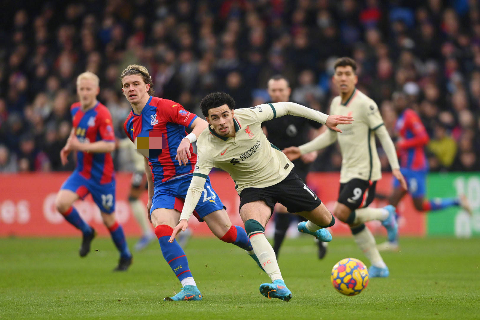 这样的案例 这样的案例